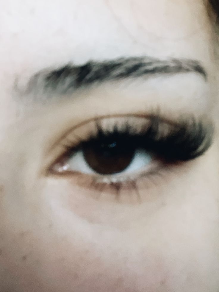 lashes