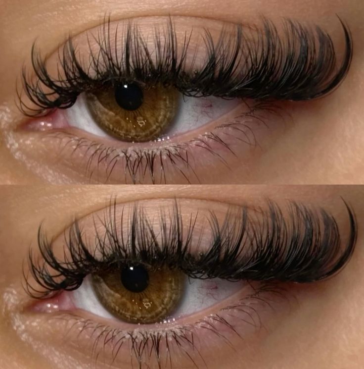 lashes